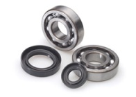 All Balls crankshaft bearings