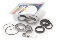 All Balls differential bearings